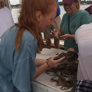 Meet your Posher, Paige